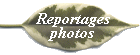 Reportages photos : expositions, parcs et jardins