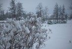 neige_jardin_I0819.JPG