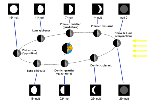 Calendrier lunaire 2024-2025 : Jardiner, planter, semer avec la lune